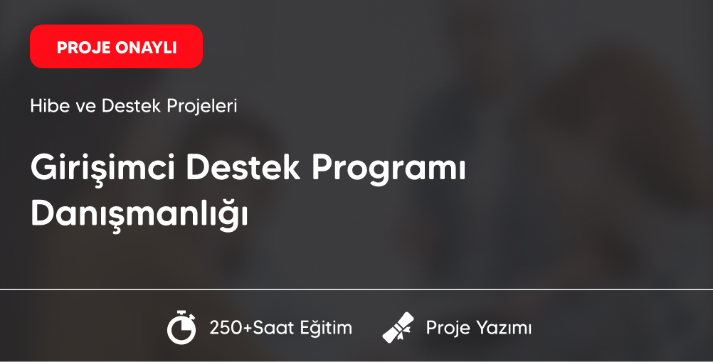 Girişimci Destek Programı Danışmanlığı